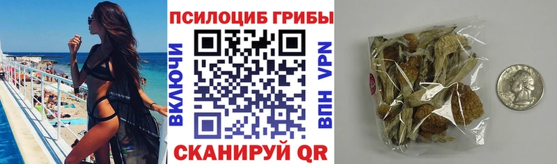 цены   Новороссийск  ОМГ ОМГ ССЫЛКА  Псилоцибиновые грибы прущие грибы 