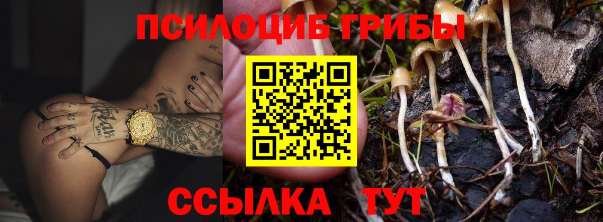 Галлюциногенные грибы Psilocybine cubensis  Псилоцибиновые грибы MAGIC MUSHROOMS  Новороссийск  Вход с VPN 