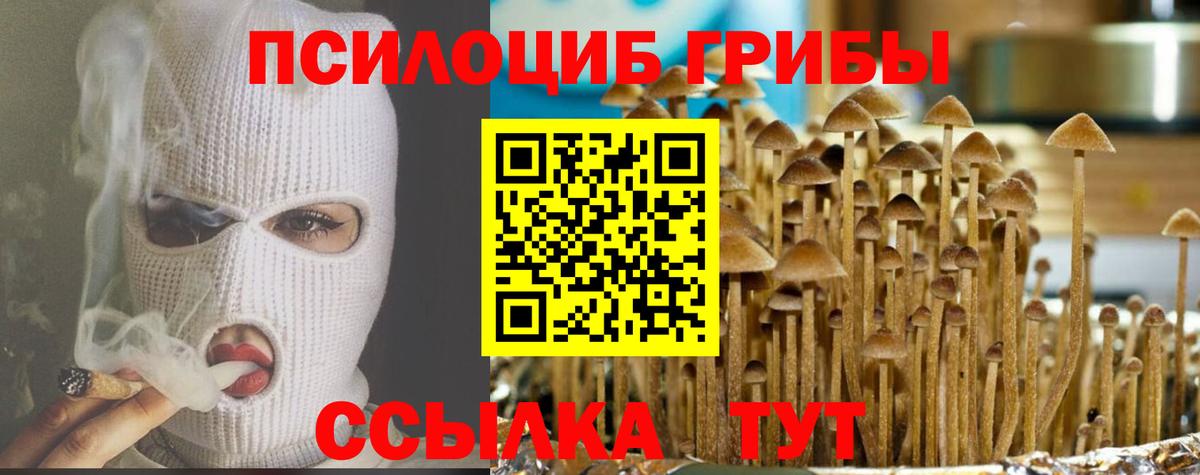 Галлюциногенные грибы Cubensis Новороссийск